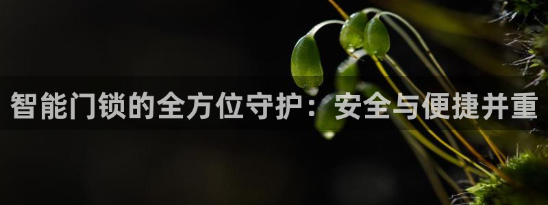 富联娱乐最稳定app：智能门锁的全方位守护：安全与便捷并重