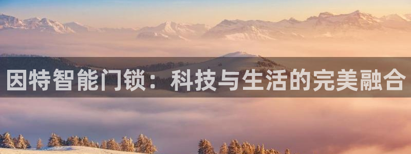 富联娱乐招商通判官333OO：因特智能门锁：科技与生活的完美