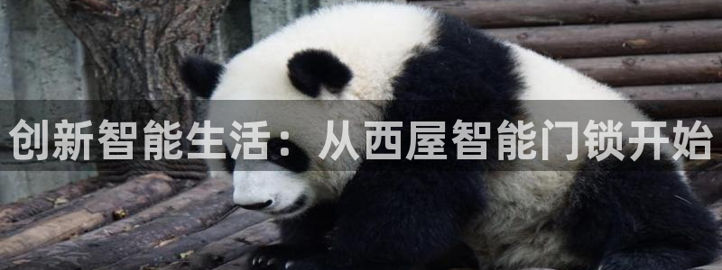 富联娱乐平台是什么：创新智能生活：从西屋智能门锁开始