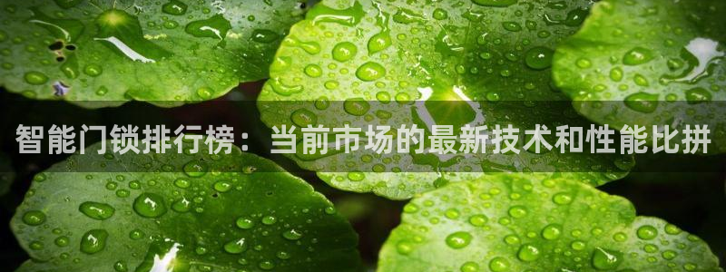 富联娱乐首页网址是什么：智能门锁排行榜：当前市场的最新技术和