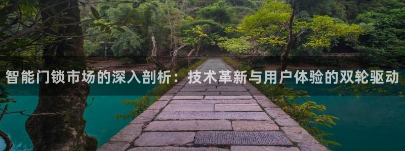 富联娱乐服务站：智能门锁市场的深入剖析：技术革新与用户体验的