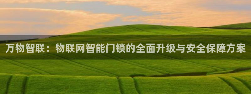 富联娱乐总代理电话：万物智联：物联网智能门锁的全面升级与安全