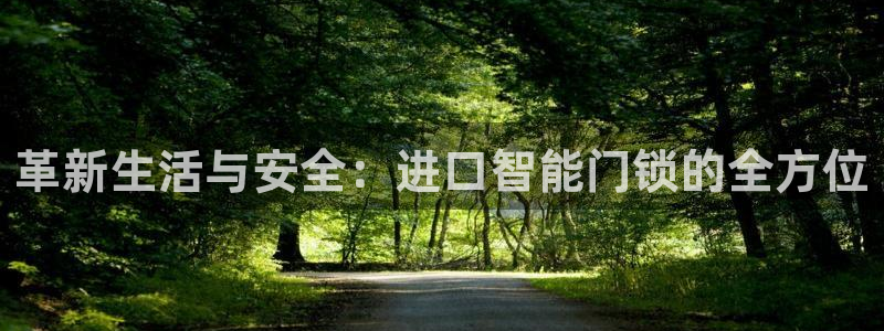 富联娱乐客户端官网：革新生活与安全：进口智能门锁的全方位