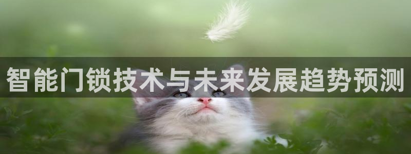 富联娱乐主管么67O77逐风：智能门锁技术与未来发展趋势预测