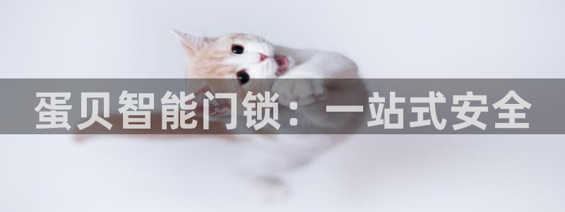富联娱乐勺67五壹叁八：蛋贝智能门锁：一站式安全