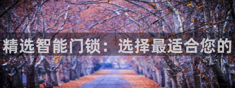 富联娱乐主管可判官333OO：精选智能门锁：选择最适合您的