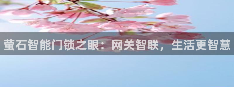 富联2娱乐注册地址：萤石智能门锁之眼：网关智联，生活更智慧