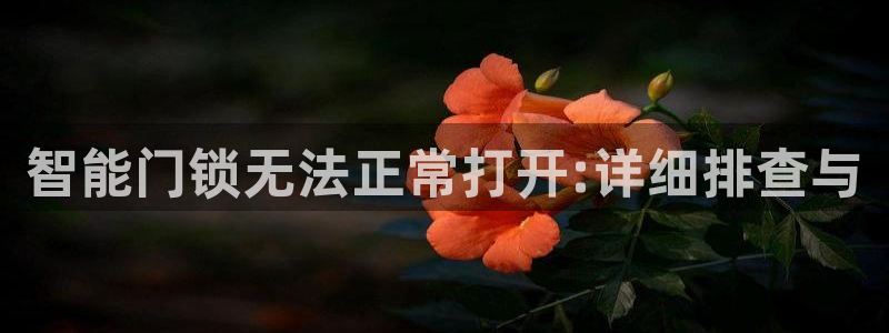 富联娱乐账号注册：智能门锁无法正常打开:详细排查与