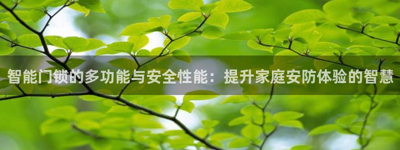 富联娱乐账号注册要钱吗：智能门锁的多功能与安全性能：提升家庭