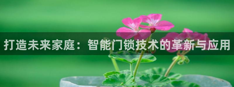 富联娱乐平台网址：打造未来家庭：智能门锁技术的革新与应用