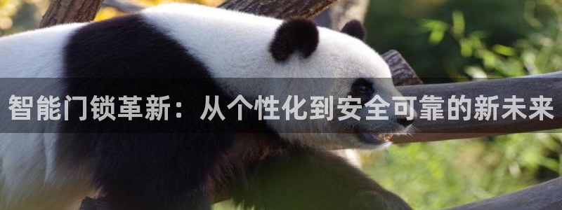 富联娱乐元哥：智能门锁革新：从个性化到安全可靠的新未来