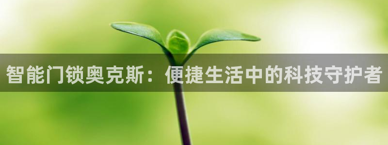 富联娱乐开户条件是什么：智能门锁奥克斯：便捷生活中的科技守护