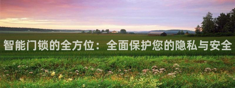 富联娱乐服务站地址：智能门锁的全方位：全面保护您的隐私与安全
