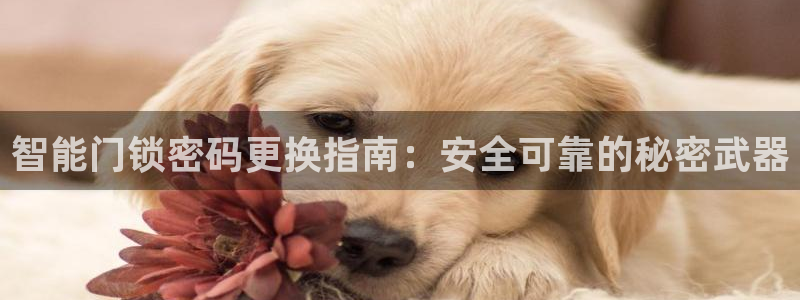 富联娱乐官方网站入口：智能门锁密码更换指南：安全可靠的秘密武