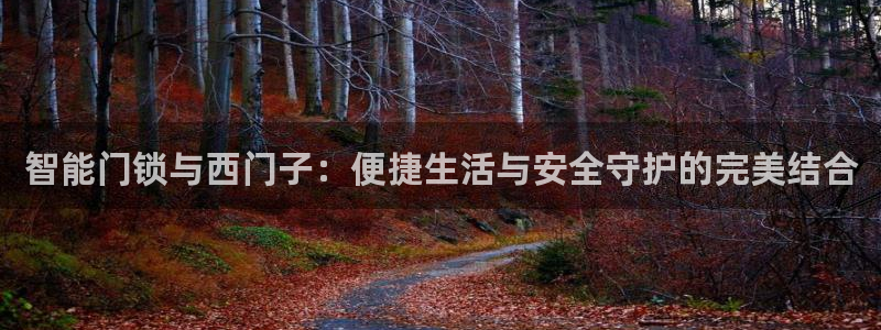 富联娱乐登录地址在哪里：智能门锁与西门子：便捷生活与安全守护