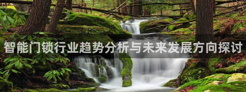 富联2娱乐注册地址：智能门锁行业趋势分析与未来发展方向探讨