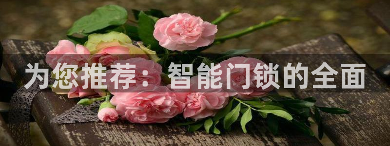 富联娱乐总裁简介资料：为您推荐：智能门锁的全面