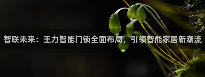 富联娱乐解酒威判官333OO：智联未来：王力智能门锁全面布局