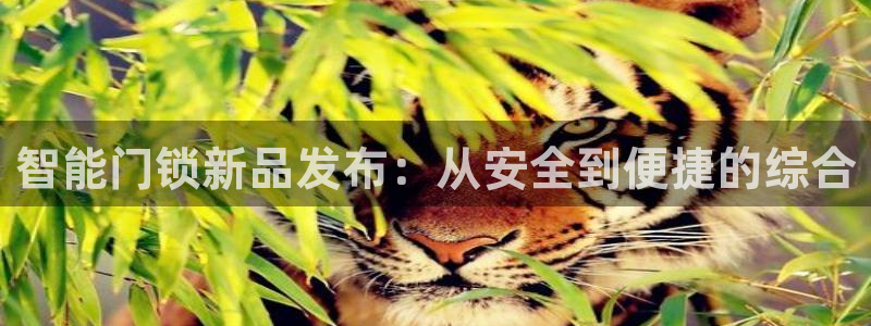 富联娱乐卜六七五一三八：智能门锁新品发布：从安全到便捷的综合