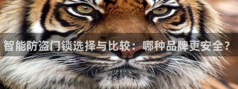 富联娱乐下载app：智能防盗门锁选择与比较：哪种品牌更安全？