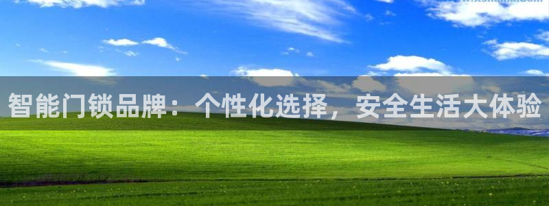 富联娱乐登录链接怎么弄到桌面：智能门锁品牌：个性化选择，安全