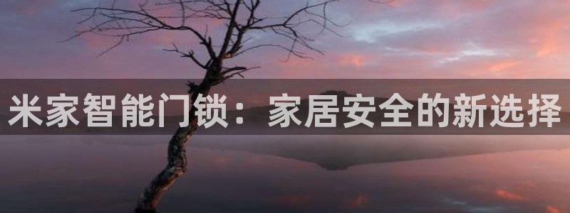 富联娱乐招商：米家智能门锁：家居安全的新选择