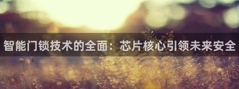 富联娱乐资金盘：智能门锁技术的全面：芯片核心引领未来安全