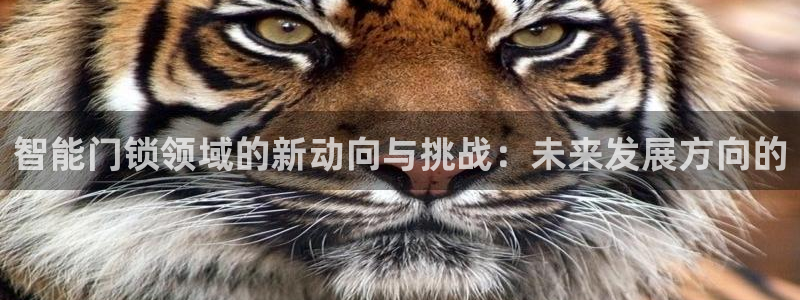 富联娱乐在线官网：智能门锁领域的新动向与挑战：未来发展方向的