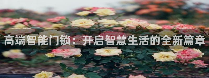 富联娱乐注册住判官333OO：高端智能门锁：开启智慧生活的全