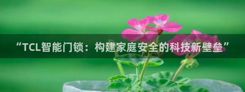 台湾富联娱乐官网：“TCL智能门锁：构建家庭安全的科技新壁垒