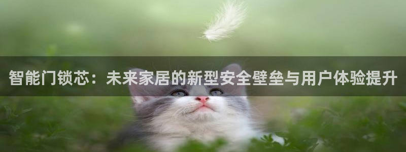 富联娱乐登录链接：智能门锁芯：未来家居的新型安全壁垒与用户体