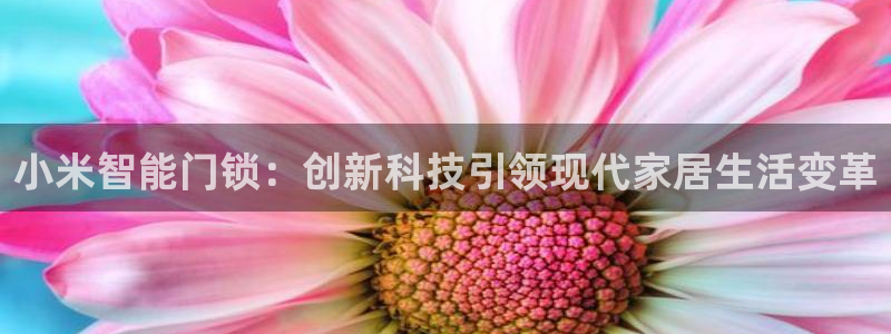 富联娱乐官方网站下载：小米智能门锁：创新科技引领现代家居生活