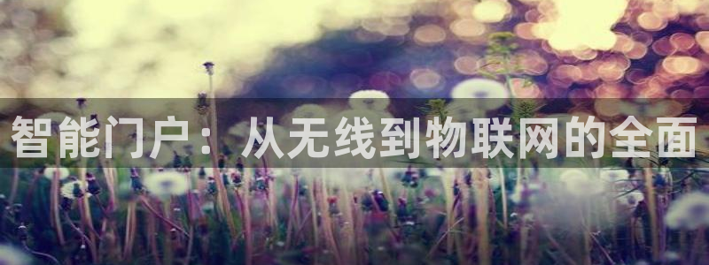富联娱乐平台测速：智能门户：从无线到物联网的全面