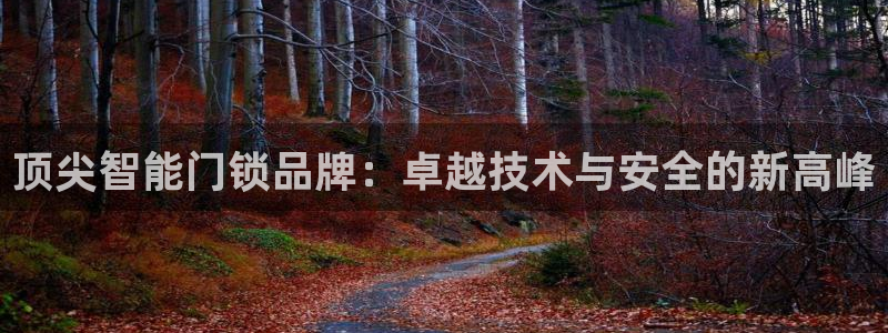 富联娱乐平台注册：顶尖智能门锁品牌：卓越技术与安全的新高峰
