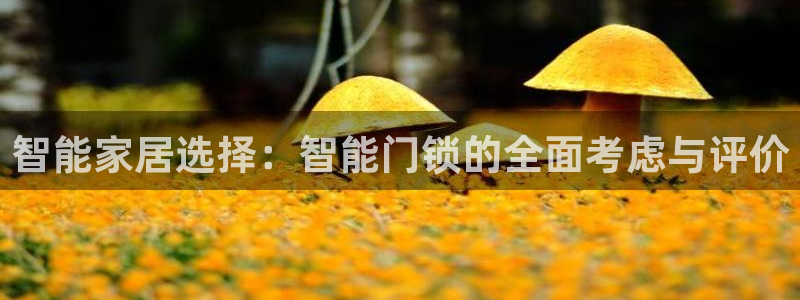 富联娱乐客户端登录不了：智能家居选择：智能门锁的全面考虑与评