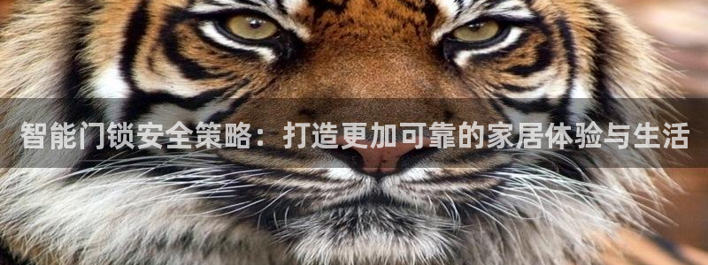 莱西联富娱乐会所电话：智能门锁安全策略：打造更加可靠的家居体