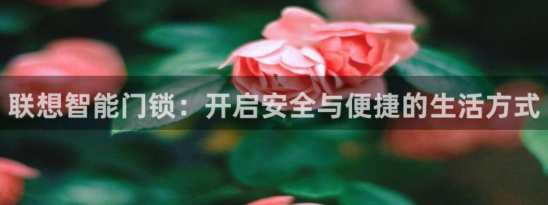 莱西联富娱乐：联想智能门锁：开启安全与便捷的生活方式