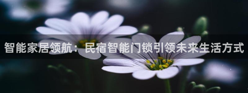 富联娱乐官方网站入口在线观看：智能家居领航：民宿智能门锁引领