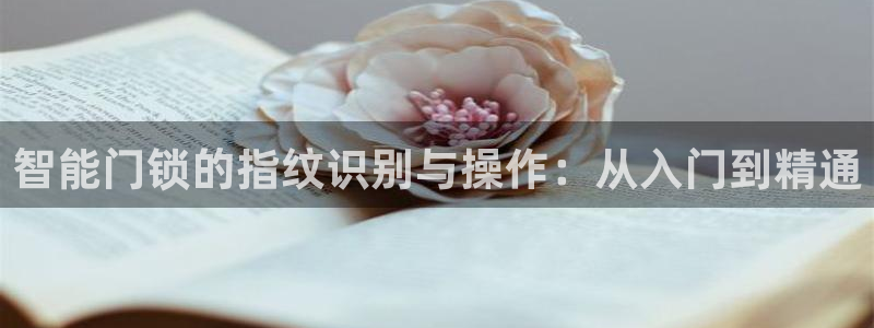 富联娱乐女团有哪些人：智能门锁的指纹识别与操作：从入门到精通