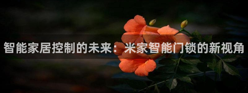 富联娱乐登录链接失败：智能家居控制的未来：米家智能门锁的新视