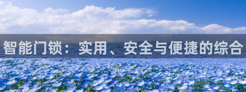富联娱乐app官方下载最新版：智能门锁：实用、安全与便捷的综
