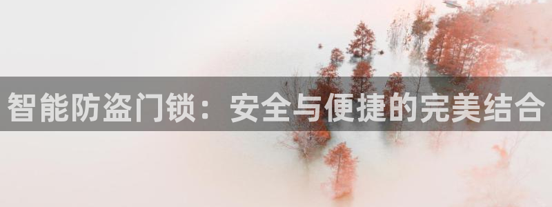 富联娱乐女团排名：智能防盗门锁：安全与便捷的完美结合