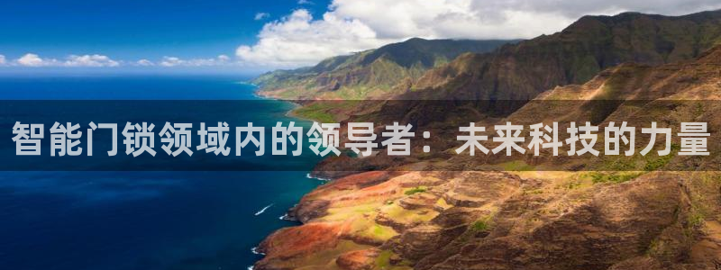 富联娱乐找527b.cn升哥：智能门锁领域内的领导者：未来科