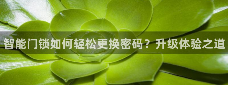富联娱乐成拔7276O：智能门锁如何轻松更换密码？升级体验之