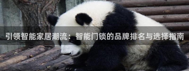 富联娱乐开户流程：引领智能家居潮流：智能门锁的品牌排名与选择