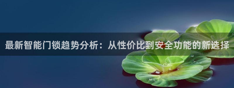 富联娱乐QQ：最新智能门锁趋势分析：从性价比到安全功能的新选