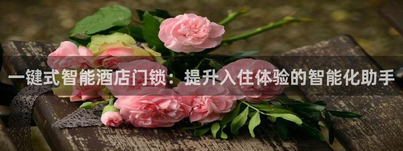 富联娱乐平台登录入口：一键式智能酒店门锁：提升入住体验的智能