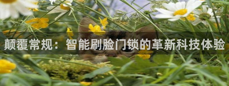 富联娱乐发展历程图：颠覆常规：智能刷脸门锁的革新科技体验