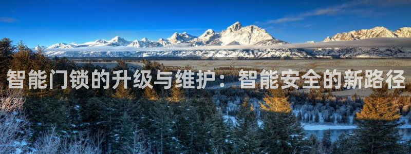 富联娱乐平台注册地址：智能门锁的升级与维护：智能安全的新路径