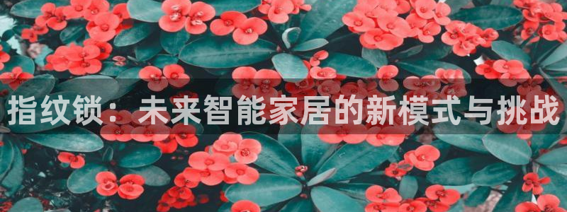 富联娱乐app官方下载苹果版：指纹锁：未来智能家居的新模式与